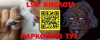 эйфоретик Аргун