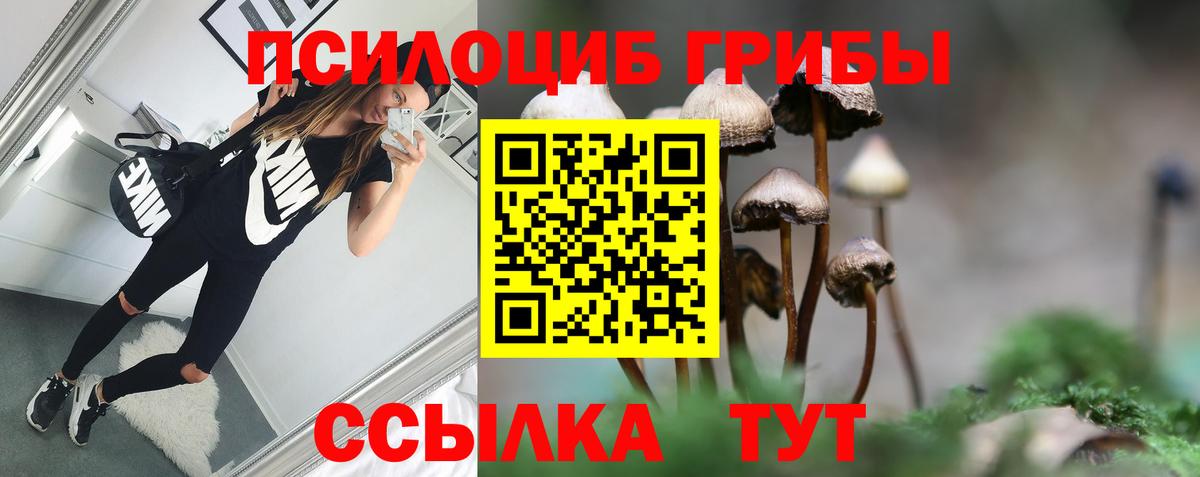 Галлюциногенные грибы Magic Shrooms Владивосток