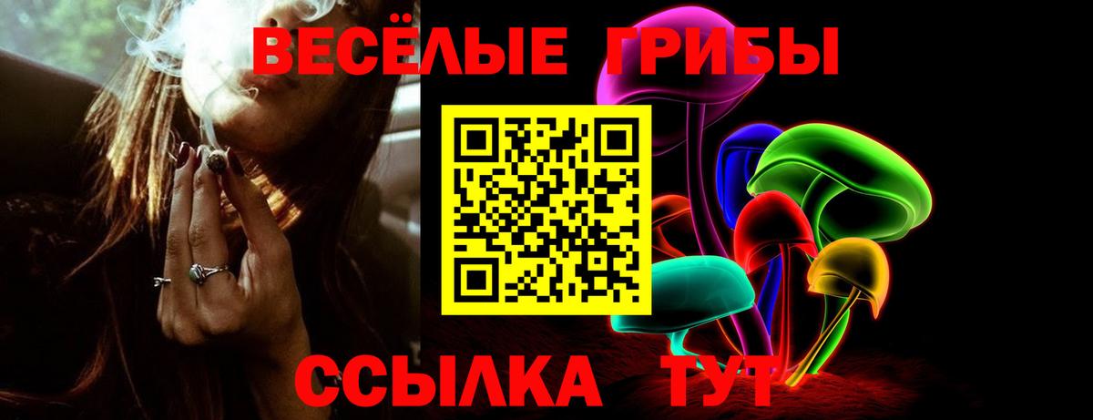 как найти закладки  Галлюциногенные грибы Psilocybe  Вход с VPN  Владивосток 